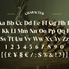 ravena-elegant-serif-typeface-font-brandearth-studio-2.jpg