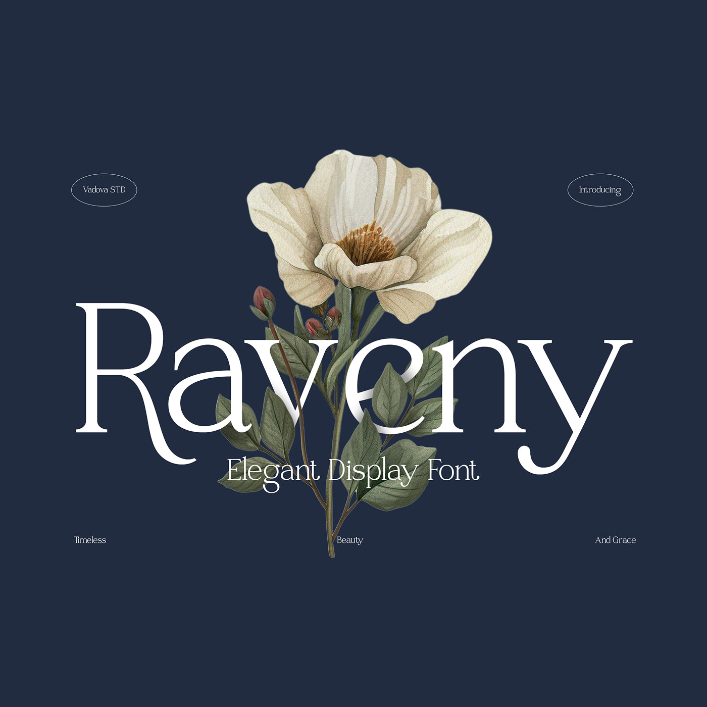 raveny-elegant-display-font-vadova-studio-1.jpg