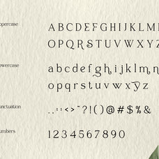 raveny-elegant-display-font-vadova-studio-2.jpg