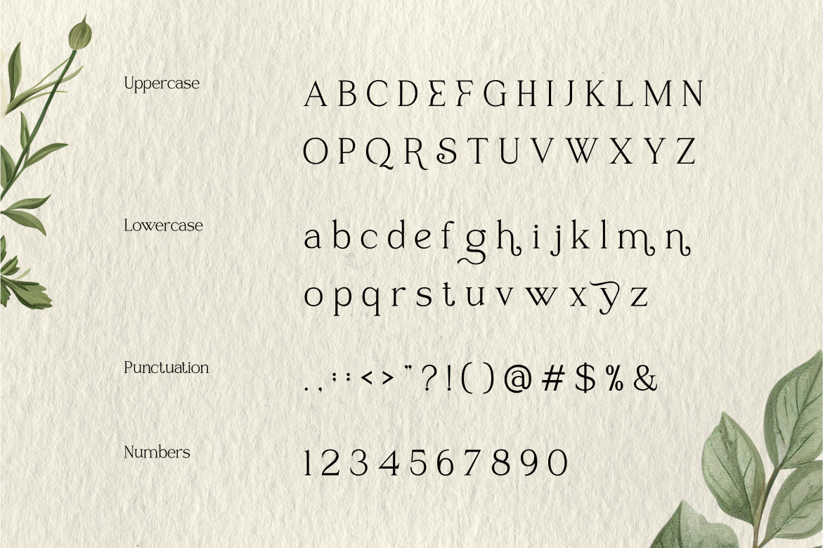 raveny-elegant-display-font-vadova-studio-2.jpg
