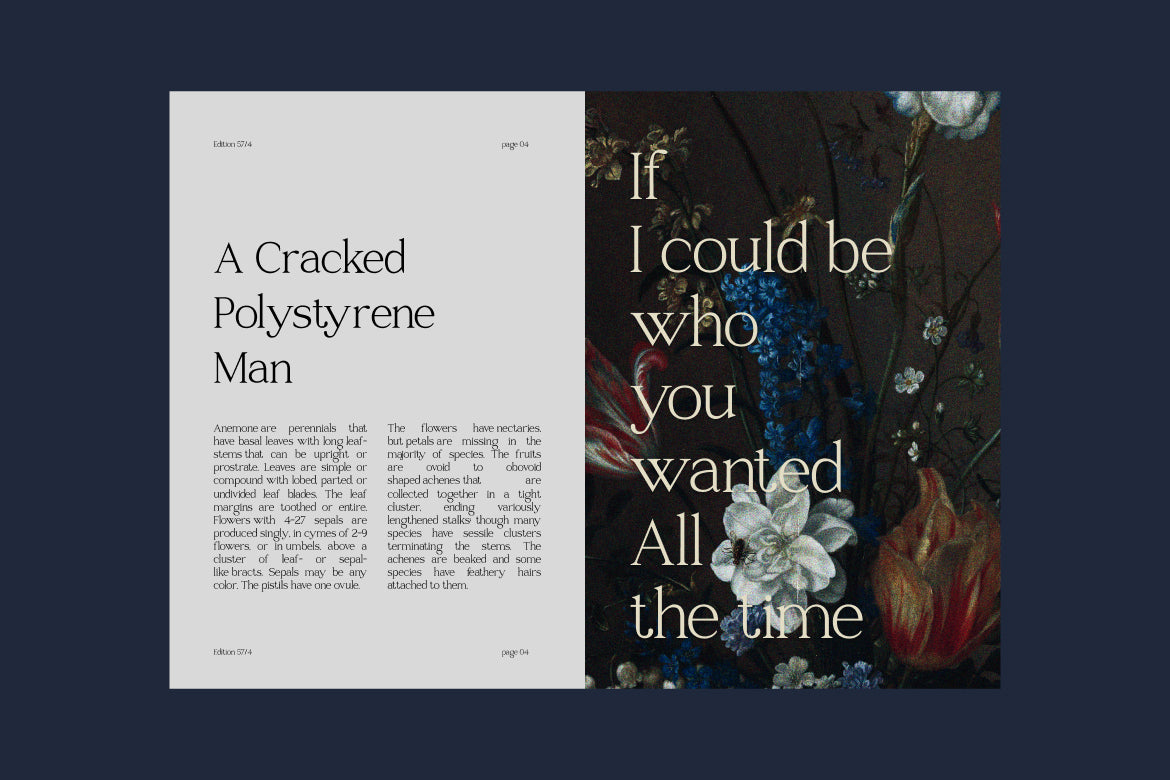 raveny-elegant-display-font-vadova-studio-5.jpg