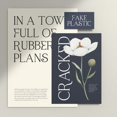 raveny-elegant-display-font-vadova-studio-6.jpg