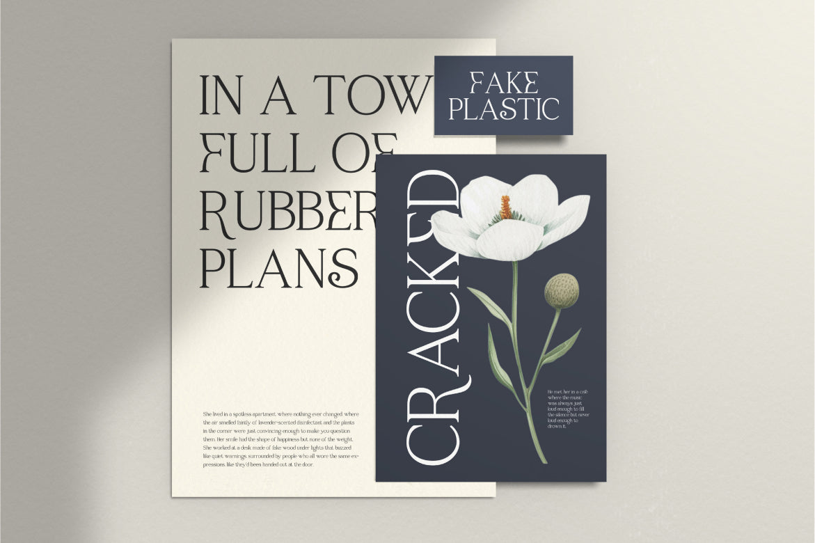 raveny-elegant-display-font-vadova-studio-6.jpg