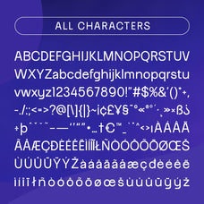 ravio-sans-serif-typeface-craft-supply-co-8.jpg