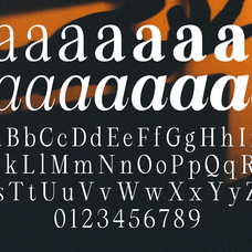 rcl-arviel-modern-editorial-serif-font-family-roomspace-creative-lab-13.png
