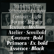 rcl-arviel-modern-editorial-serif-font-family-roomspace-creative-lab-7.png