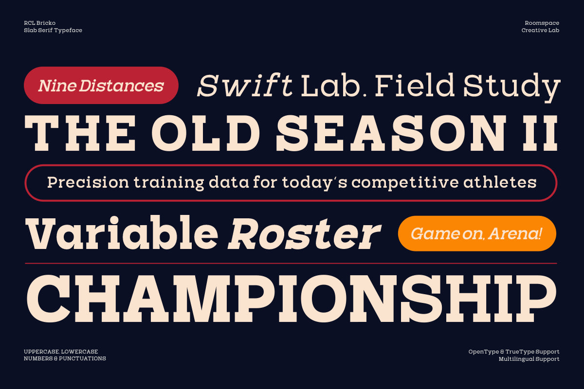 rcl-bricko-a-bold-modern-slab-serif-roomspace-creative-lab-13.png