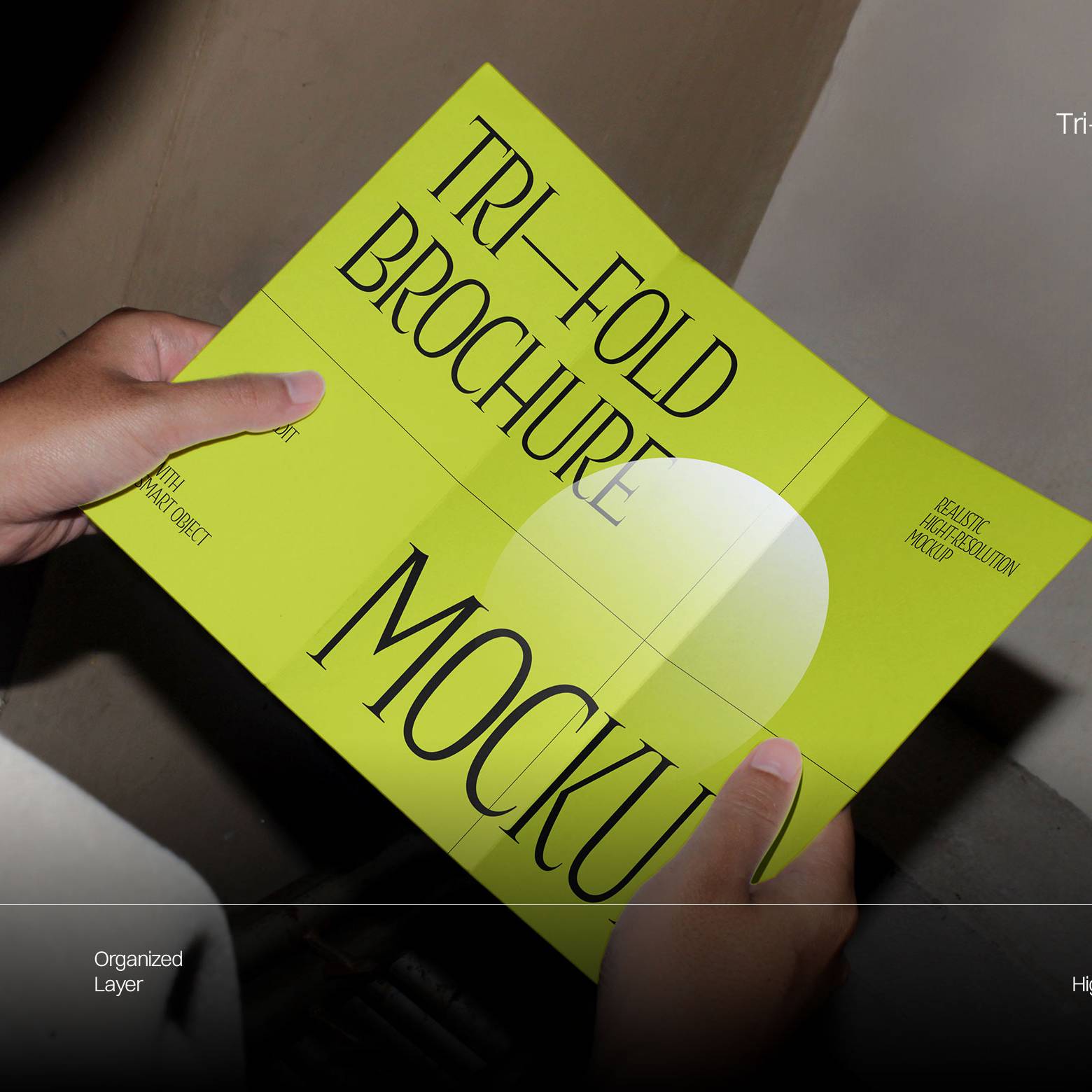 realistic-trifold-brochure-mockup-fakhroo-1.jpg