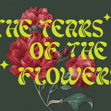 realizm-groovy-retro-font-say-studio-4.png