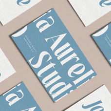 reaven-modern-high-contrast-serif-font-roomspace-creative-lab-5.png