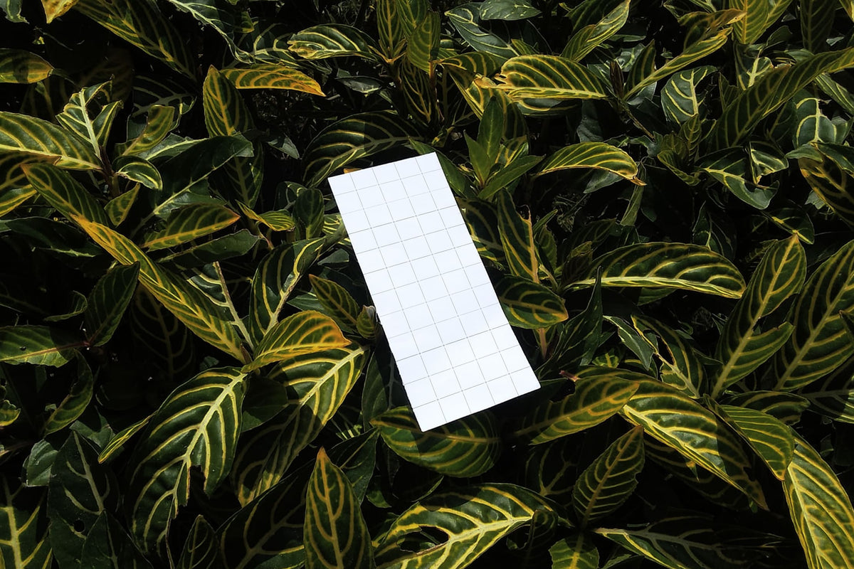 receipt-mockup-003-coolteens-2.jpg
