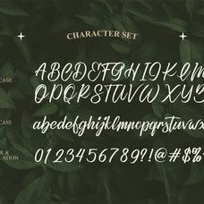 refany-elegant-script-typeface-font-unknown-creator-2.jpg