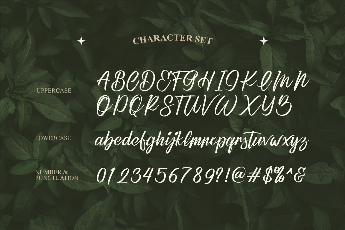 refany-elegant-script-typeface-font-unknown-creator-2.jpg