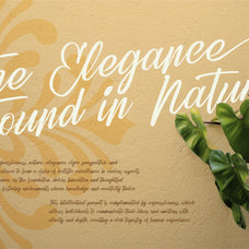 refany-elegant-script-typeface-font-unknown-creator-4.jpg