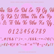 Refinsted - Modern Classic Script