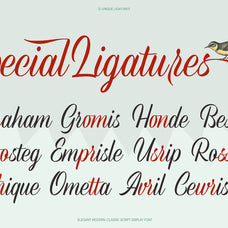 Refinsted - Modern Classic Script