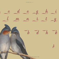 Refinsted - Modern Classic Script