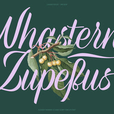 Refinsted - Modern Classic Script