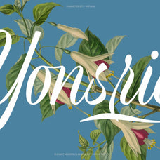 Refinsted - Modern Classic Script