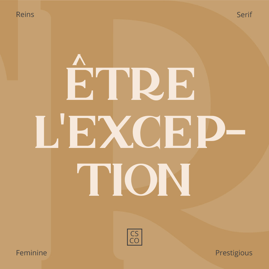 reins-serif-typeface-craft-supply-co-2.jpg