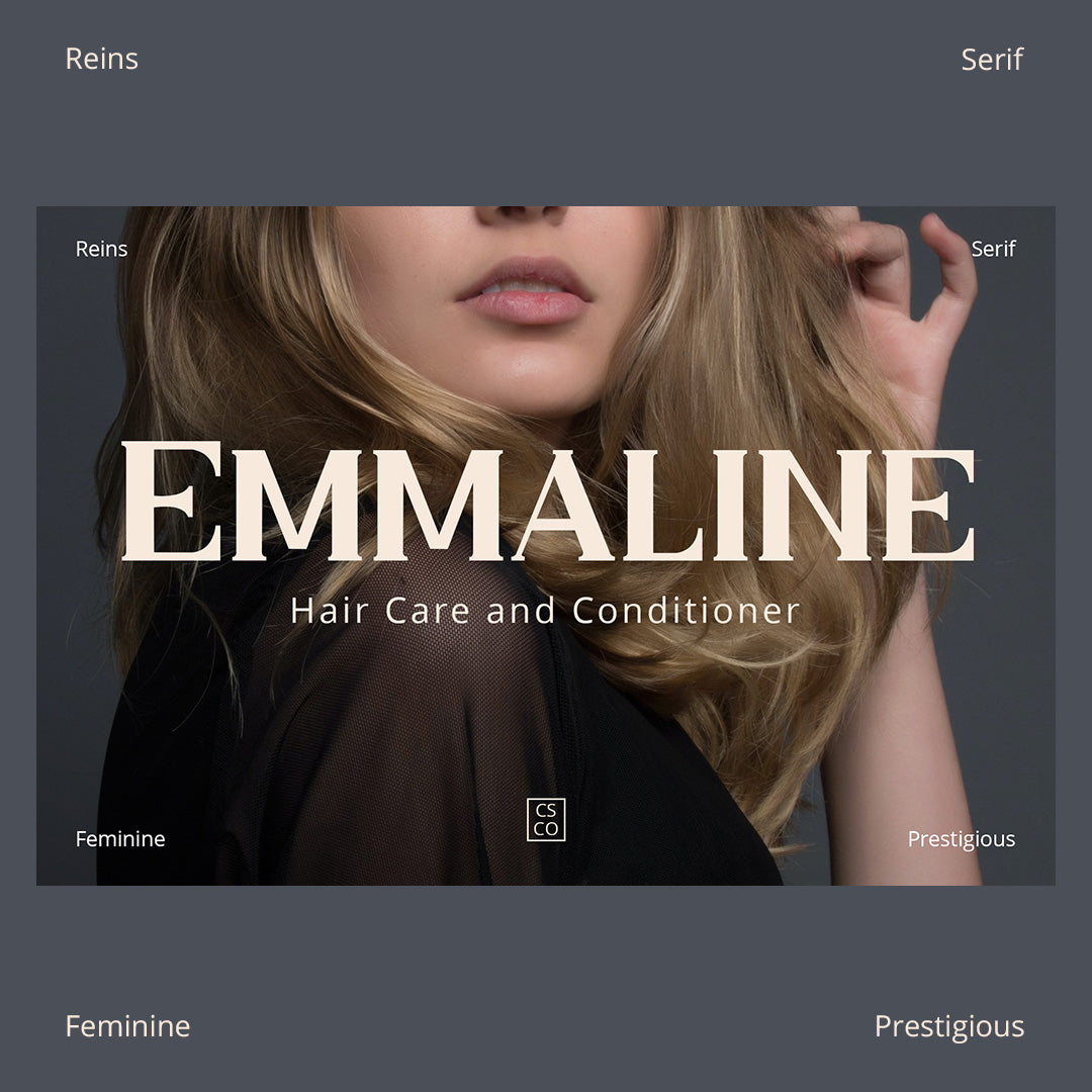 reins-serif-typeface-craft-supply-co-3.jpg