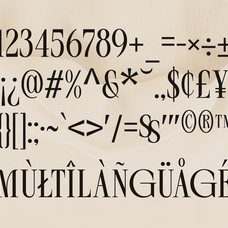 rekogil-luxury-ligature-serif-font-say-studio-10.png