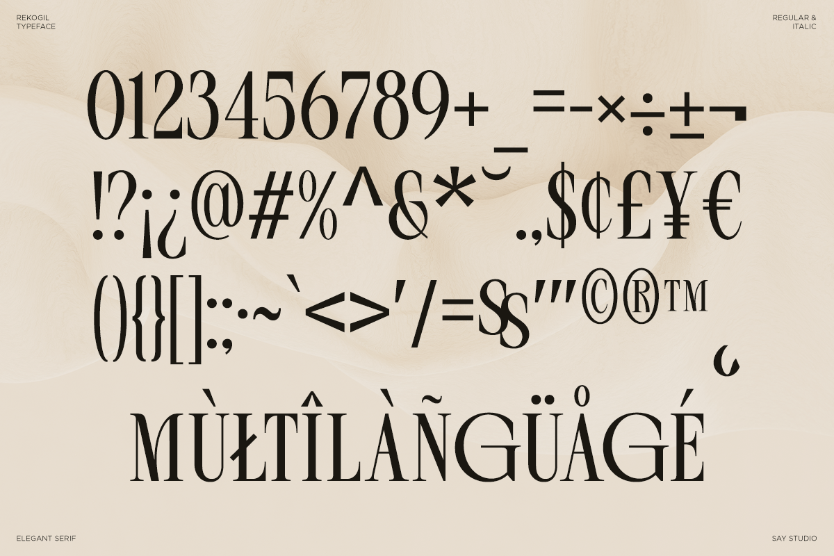 rekogil-luxury-ligature-serif-font-say-studio-10.png