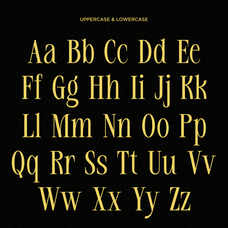 rekogil-luxury-ligature-serif-font-say-studio-8.png