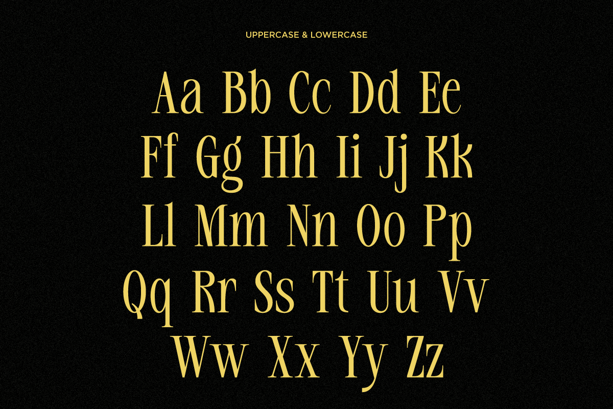 rekogil-luxury-ligature-serif-font-say-studio-8.png