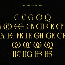 rekogil-luxury-ligature-serif-font-say-studio-9.png