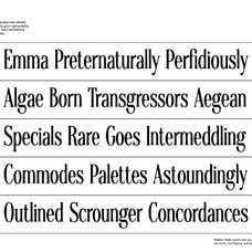 relave-expressive-modern-serif-typeparties-5.png
