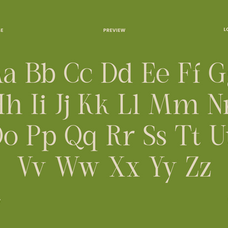 remara-elegant-decorative-serif-font-rasio-std-2.png