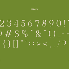 remara-elegant-decorative-serif-font-rasio-std-3.png