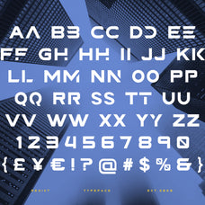 reqist-creative-display-typeface-font-brandearth-studio-2.jpg