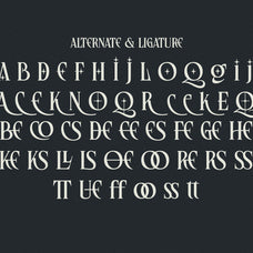 resquel-elegant-editorial-serif-font-unknown-creator-10.jpg