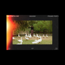 Retro Film Frames Bundle