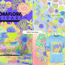 Retro Maximalism Library