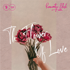 reumantic-blush-tyedge-studio-1.png