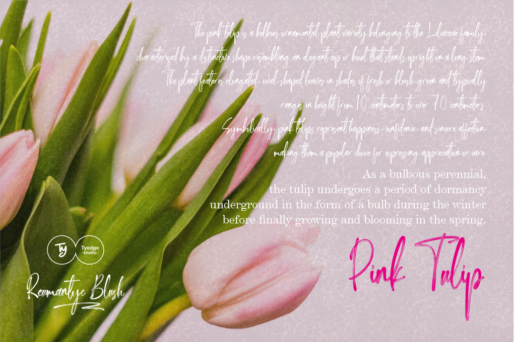 reumantic-blush-tyedge-studio-4.png