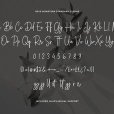 reys-monstera-signature-script-font-unknown-creator-12.jpg