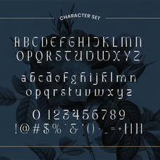 ribgy-luxury-serif-font-catalystco-studio-2.jpg