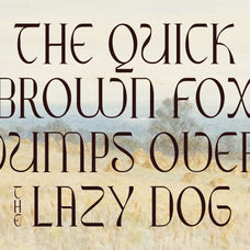 ribgy-luxury-serif-font-catalystco-studio-3.jpg