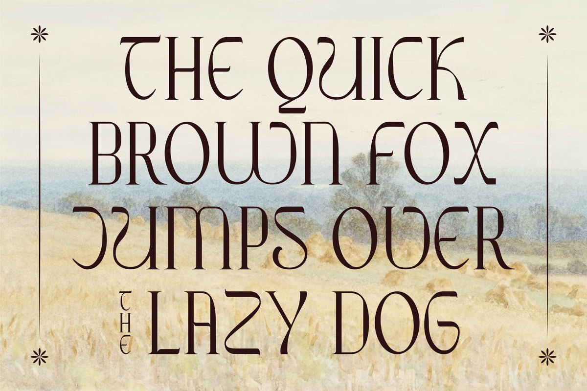 ribgy-luxury-serif-font-catalystco-studio-3.jpg
