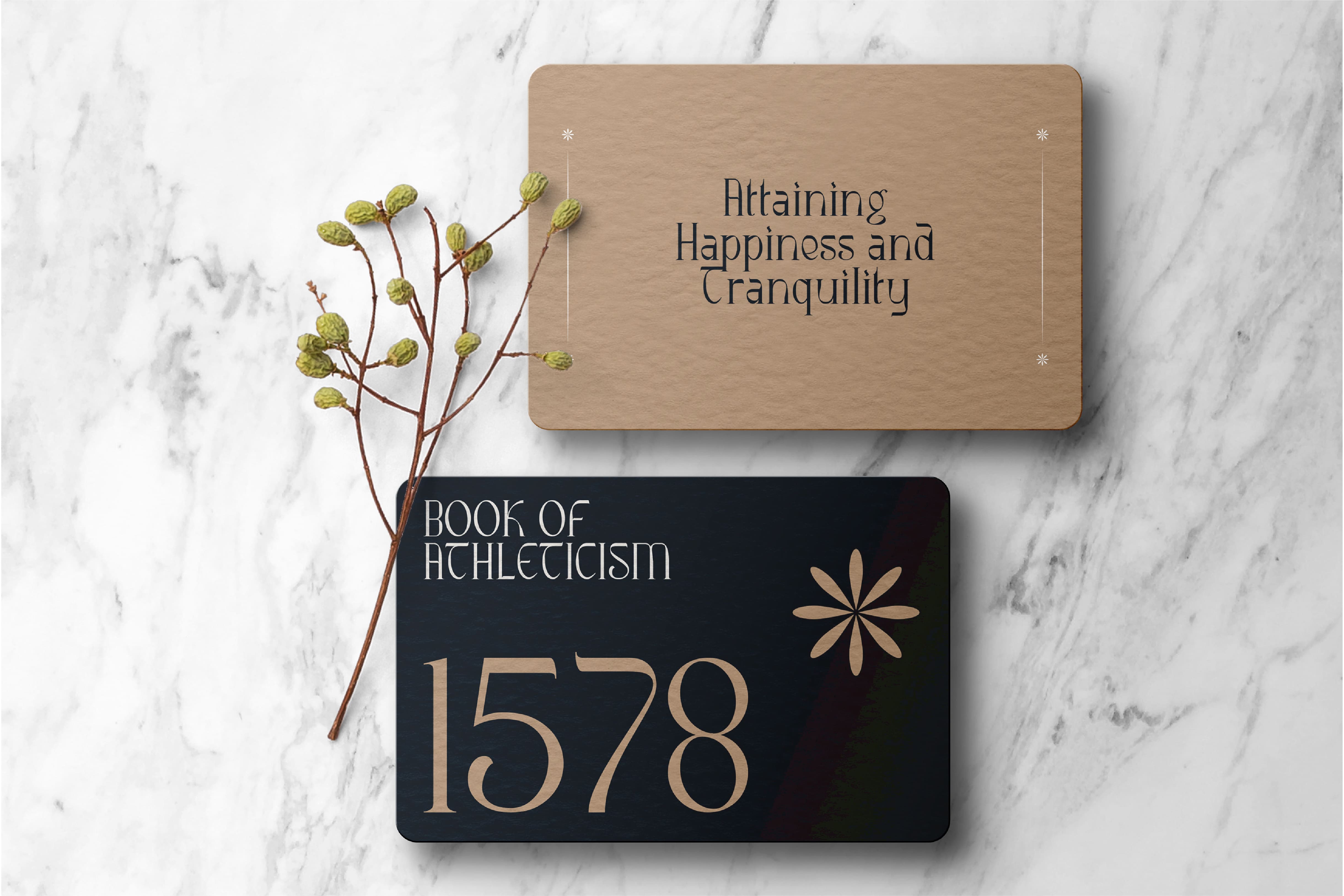 ribgy-luxury-serif-font-catalystco-studio-6.jpg
