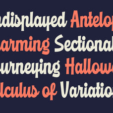 richale-a-bold-retro-script-font-blankids-3.jpg