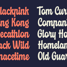 richale-a-bold-retro-script-font-blankids-4.jpg