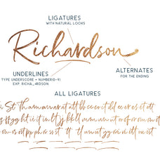richardson-signature-brush-sarid-ezra-13.jpg