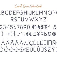 richardson-signature-brush-sarid-ezra-14.jpg