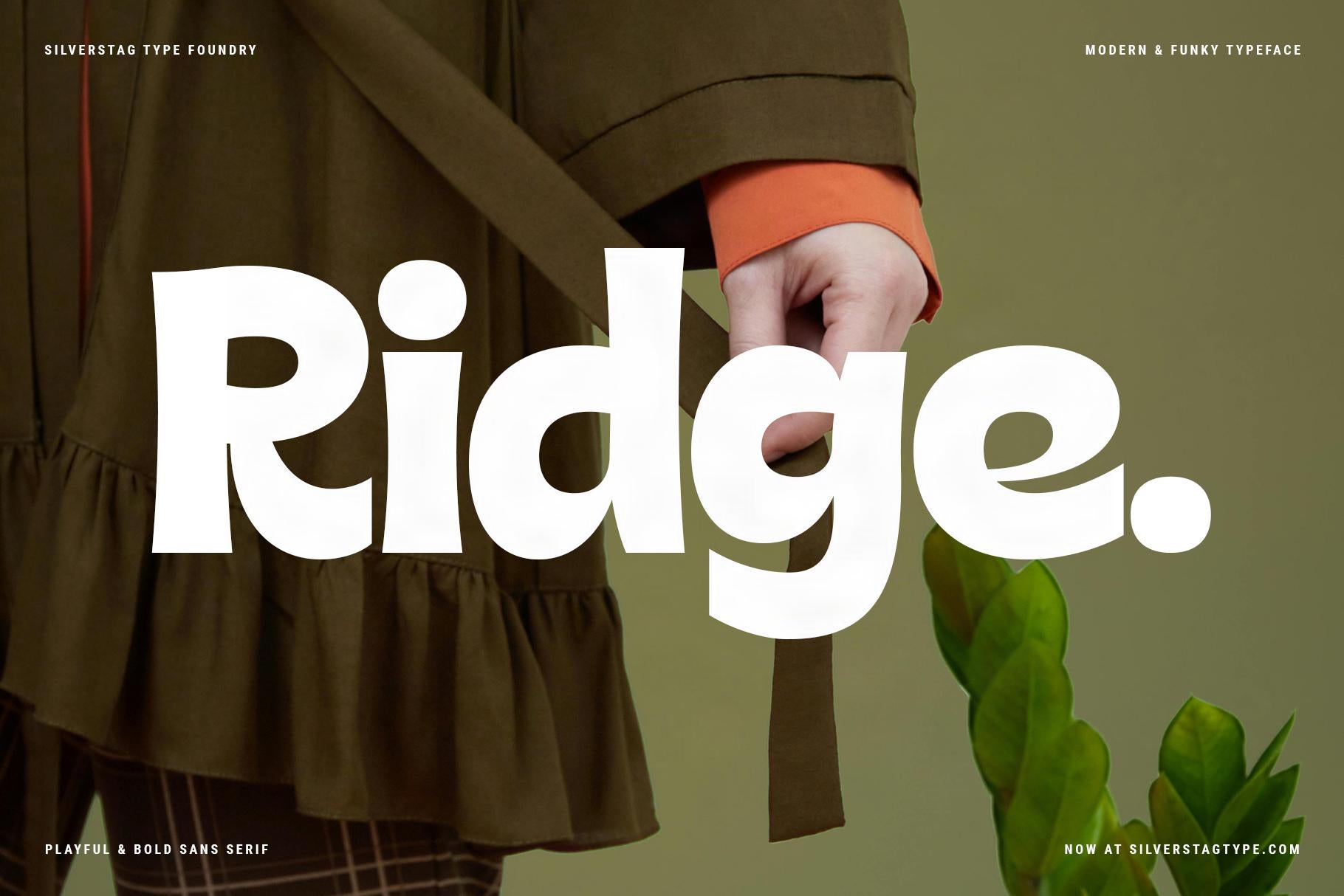 Rigalé – Playful & Bold Sans Serif