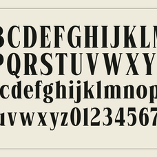 rigela-condensed-luxury-serif-font-say-studio-9.png